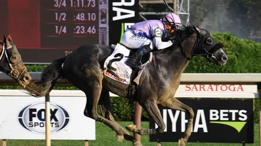 Breeders' Cup: Mira lo que ocurre con Arcangelo a pocos días de su compromiso selectivo
