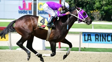 Li Tre Fratelli reaparece para correr en la Condicional Especial para Caballos
