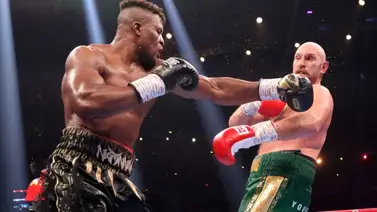 Este excampeón mundial sería el próximo rival de Francis Ngannou: ¿Qué se sabe? Este excampeón mundial sería el próximo rival de Francis Ngannou: ¿Qué se sabe?