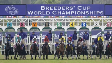 Breeders' Cup: definen los puestos de salida de los 14 eventos selectivos