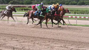 Este ejemplar entrenado por Fernando Parilli Tota vuelve a La Rinconada luego 161 días sin correr Este ejemplar entrenado por Fernando Parilli Tota vuelve a La Rinconada luego 161 días sin correr