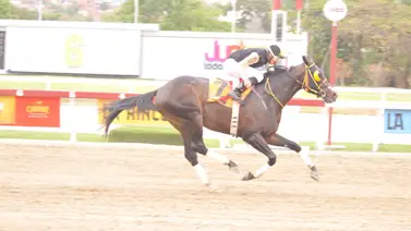 Dotwing Fernández retorna a la pista a este corredor de selectiva que tiene 126 días sin participar en La Rinconada Dotwing Fernández retorna a la pista a este corredor de selectiva que tiene 126 días sin participar en La Rinconada
