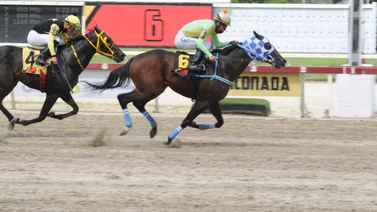 Rubén Lanz inscribe a este ejemplar que tiene 273 días sin correr en La Rinconada