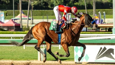 Breeders' Cup: Practical Move colapsa en la pista de Santa Anita mientras ejercitaba