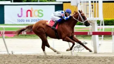 Steinbrenner vuelve a la pista de La Rinconada luego de 91 días sin acción Steinbrenner vuelve a la pista de La Rinconada luego de 91 días sin acción