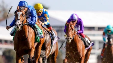 Breeders' Cup: ¿A qué hora es y por dónde ver la jornada clásica en Santa Anita?