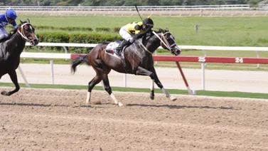 Ejemplar que ganó en su debut regresa al óvalo de La Rinconada tras 56 días sin correr