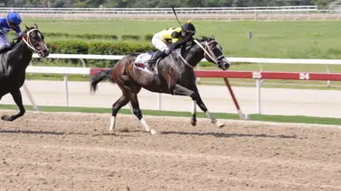 Ejemplar que ganó en su debut regresa al óvalo de La Rinconada tras 56 días sin correr Ejemplar que ganó en su debut regresa al óvalo de La Rinconada tras 56 días sin correr