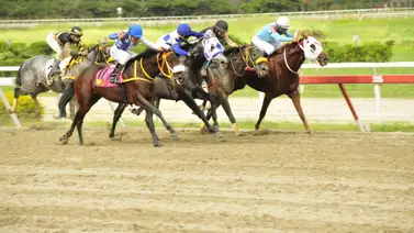 Reaparece en La Rinconada hija del único caballo venezolano que corrió en la Breeders’ Cup (+video) Reaparece en La Rinconada hija del único caballo venezolano que corrió en la Breeders’ Cup (+video)