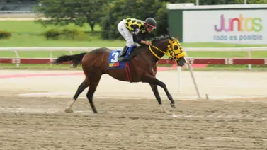 Vuelve un Bombazo a La Rinconada tras 42 días sin correr Vuelve un Bombazo a La Rinconada tras 42 días sin correr