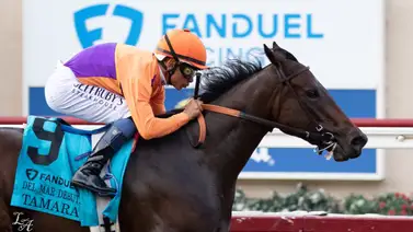 Breeders' Cup: Tamara defenderá su invicto de esta manera en la Juvenile Fillies Breeders' Cup: Tamara defenderá su invicto de esta manera en la Juvenile Fillies