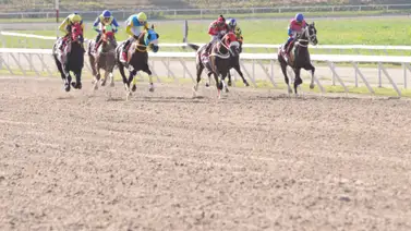 Riccardo D’Angelo inscribe a este potrillo que tiene 70 días sin correr en La Rinconada Riccardo D’Angelo inscribe a este potrillo que tiene 70 días sin correr en La Rinconada