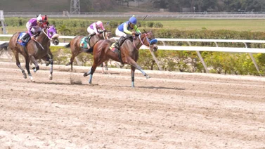 Hijo de doble ganador del Presidente de la República retorna a la pista de La Rinconada 