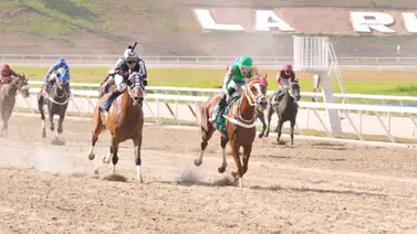 Ramón García Mosquera presenta a esta yegua que tiene 77 días sin correr en La Rinconada Ramón García Mosquera presenta a esta yegua que tiene 77 días sin correr en La Rinconada