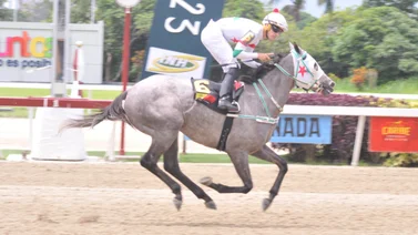 Este pupilo de Rubén Lanz vuelve a la pista de La Rinconada tras 49 días sin correr