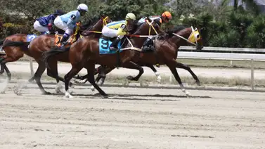 Gabriel Márquez inscribe a una potranca que tiene 70 días sin estar en pruebas públicas en La Rinconada Gabriel Márquez inscribe a una potranca que tiene 70 días sin estar en pruebas públicas en La Rinconada