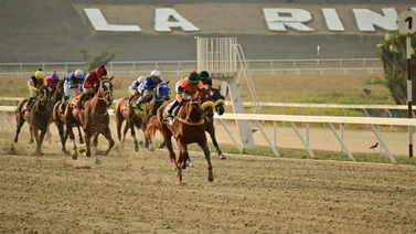 Potra que ganó en su debut a una figuradora de la triple corona reapareceré este domingo 