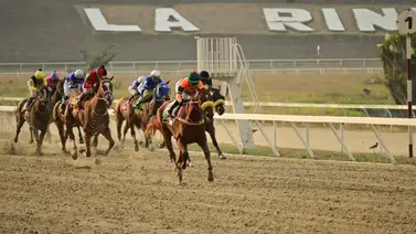 Potra que ganó en su debut a una figuradora de la triple corona reapareceré este domingo Potra que ganó en su debut a una figuradora de la triple corona reapareceré este domingo