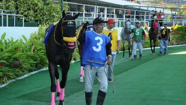 Debuta hijo de un figurador de la Breeders’ Cup Juvenile este domingo en La Rinconada