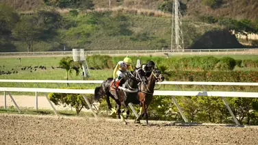 Vuelve al óvalo de La Rinconada esta hija de un Campeón de Velocidad del Caribe Vuelve al óvalo de La Rinconada esta hija de un Campeón de Velocidad del Caribe
