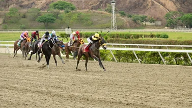 Yegua que puede sorprender en el 5y6 reaparece este domingo en La Rinconada