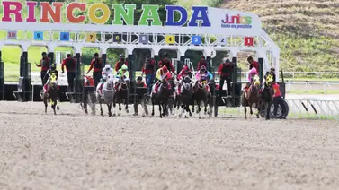 Conoce cómo va el trámite para la llegada de los caballos chilenos a La Rinconada Conoce cómo va el trámite para la llegada de los caballos chilenos a La Rinconada