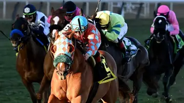 Ocho stakes con tres clasificatorios a la Breeder´s Cup el fin de semana en Belmont At The Big A Ocho stakes con tres clasificatorios a la Breeder´s Cup el fin de semana en Belmont At The Big A