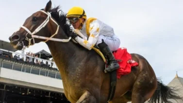 Esto dice Gustavo Delgado sobre su prospecto de 2 años que llegó a Keeneland