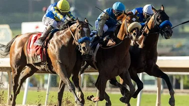 Caballo latinoamericano entra al ranking de los 10 mejores caballos de Estados Unidos