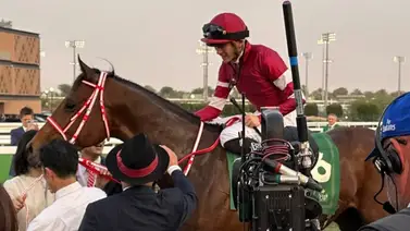 Forever Young gana en gran forma el Japan Dirt Classic y está listo para la Breeders Forever Young gana en gran forma el Japan Dirt Classic y está listo para la Breeders