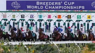 15 Stakes con entrada a la Breeders' Cup 2024 el fin de semana en USA 15 Stakes con entrada a la Breeders' Cup 2024 el fin de semana en USA