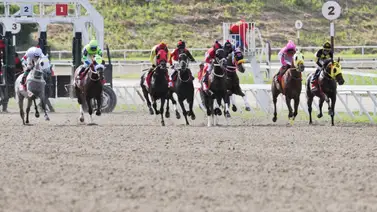 Estos serían los posibles participantes de Venezuela en el Clásico Internacional del Caribe 2024 Estos serían los posibles participantes de Venezuela en el Clásico Internacional del Caribe 2024