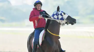 José Gilberto Hernández puede abrir y cerrar la jornada con buen dividendo (+Video) José Gilberto Hernández puede abrir y cerrar la jornada con buen dividendo (+Video)