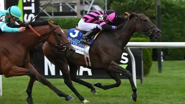 Ganadora clásica de Grado se retira luego de correr stakes este sábado en Keeneland Ganadora clásica de Grado se retira luego de correr stakes este sábado en Keeneland