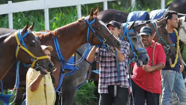 Segundo retirado de las no válidas de este domingo en La Rinconada Segundo retirado de las no válidas de este domingo en La Rinconada