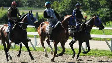 Retiran segundo ejemplar de la válidas del 5y6 del domingo Retiran segundo ejemplar de la válidas del 5y6 del domingo