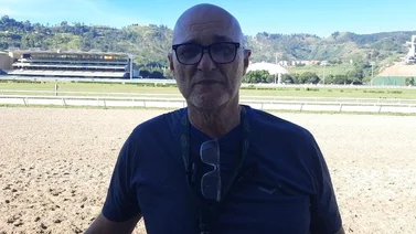 Estos son los dos ejemplares que pueden estar en la cima de la pizarra para Ramiro Caldeira (+Video)