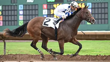 Jockey venezolano triplica triunfos y saca 23 de ventaja en la estadística del meeting Jockey venezolano triplica triunfos y saca 23 de ventaja en la estadística del meeting