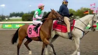 Jockey venezolano soprende con un outsider 30 a 1 en Estados Unidos Jockey venezolano soprende con un outsider 30 a 1 en Estados Unidos
