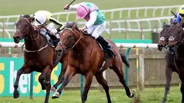 Medio hermano del mejor padrillo del mundo va en la mejor premiada de Estados Unidos esta semana Medio hermano del mejor padrillo del mundo va en la mejor premiada de Estados Unidos esta semana