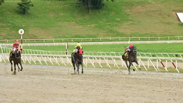 Mira el ajuste cómodo de esta potra para la R38 de La Rinconada Mira el ajuste cómodo de esta potra para la R38 de La Rinconada