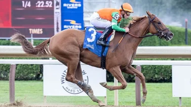 Retirada a última hora la gran favorita en el Frizette Stakes (G1) de Belmont At The Big A