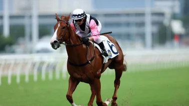 Genera ingresos con el hipismo en MeridianoBet