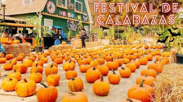 EEUU | Festival de "Calabazas Gigantes 2024" de Elk Grove, California 