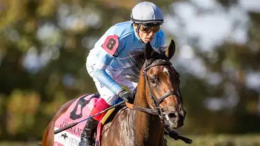 Estos fueron los 4 clasificados a las Breeders´Cup este 4 de octubre Estos fueron los 4 clasificados a las Breeders´Cup este 4 de octubre