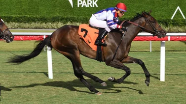 Richard Bracho alcanzó su segundo triunfo del año en Gulfstream Park