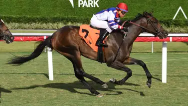 Richard Bracho alcanzó su segundo triunfo del año en Gulfstream Park Richard Bracho alcanzó su segundo triunfo del año en Gulfstream Park