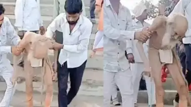 Anciano de 188 es rescatado de una cueva: “La muerte se olvidó de mí” Anciano de 188 es rescatado de una cueva: “La muerte se olvidó de mí”