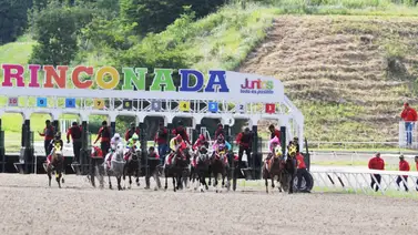 Favoritos de la cátedra para el 5y6 Nacional de la reunión N°38 en el hipódromo La Rinconada Favoritos de la cátedra para el 5y6 Nacional de la reunión N°38 en el hipódromo La Rinconada