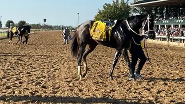 Potro de Gustavo Delgado consigue sus primeros puntos para el Kentucky Derby del 2025 Potro de Gustavo Delgado consigue sus primeros puntos para el Kentucky Derby del 2025